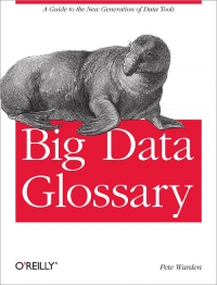 Big Data Glossary Free Ebook Big Data Glossary Free Ebook
