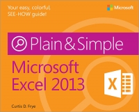 Microsoft Excel 2013 Plain & Simple